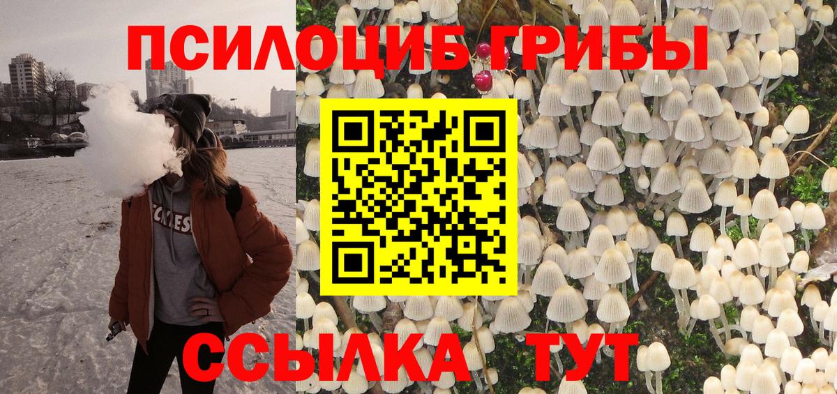 Псилоцибиновые грибы Psilocybe  Вход с VPN  Галлюциногенные грибы Magic Shrooms  магазин продажи   Екатеринбург 