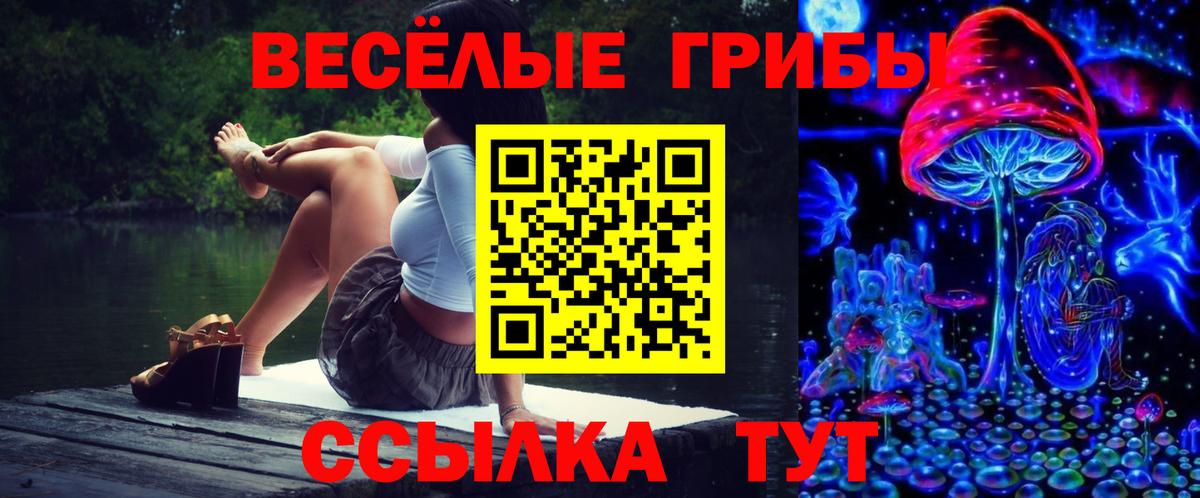 Галлюциногенные грибы Psilocybe Екатеринбург